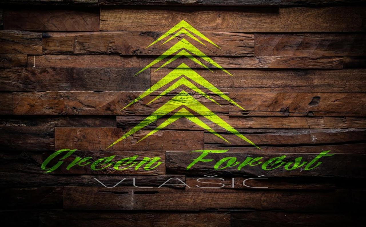Green Forest Núi Núi Vlasic Ngoại thất bức ảnh